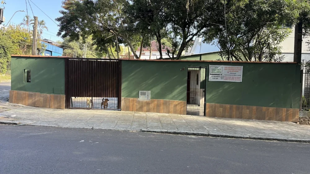 Ana Aulas Particulares | Reforço Escolar em Porto Alegre