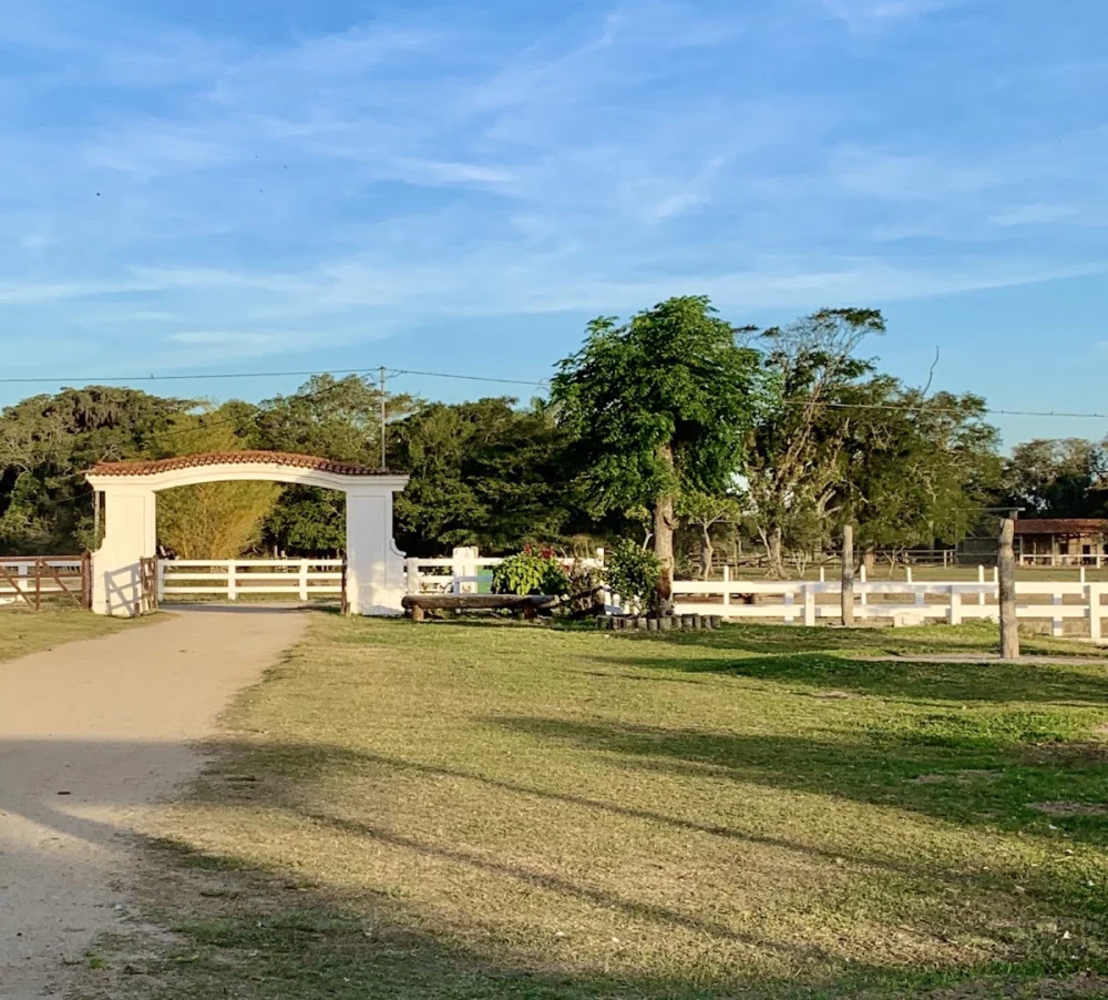 Cabanha Figueira Lami