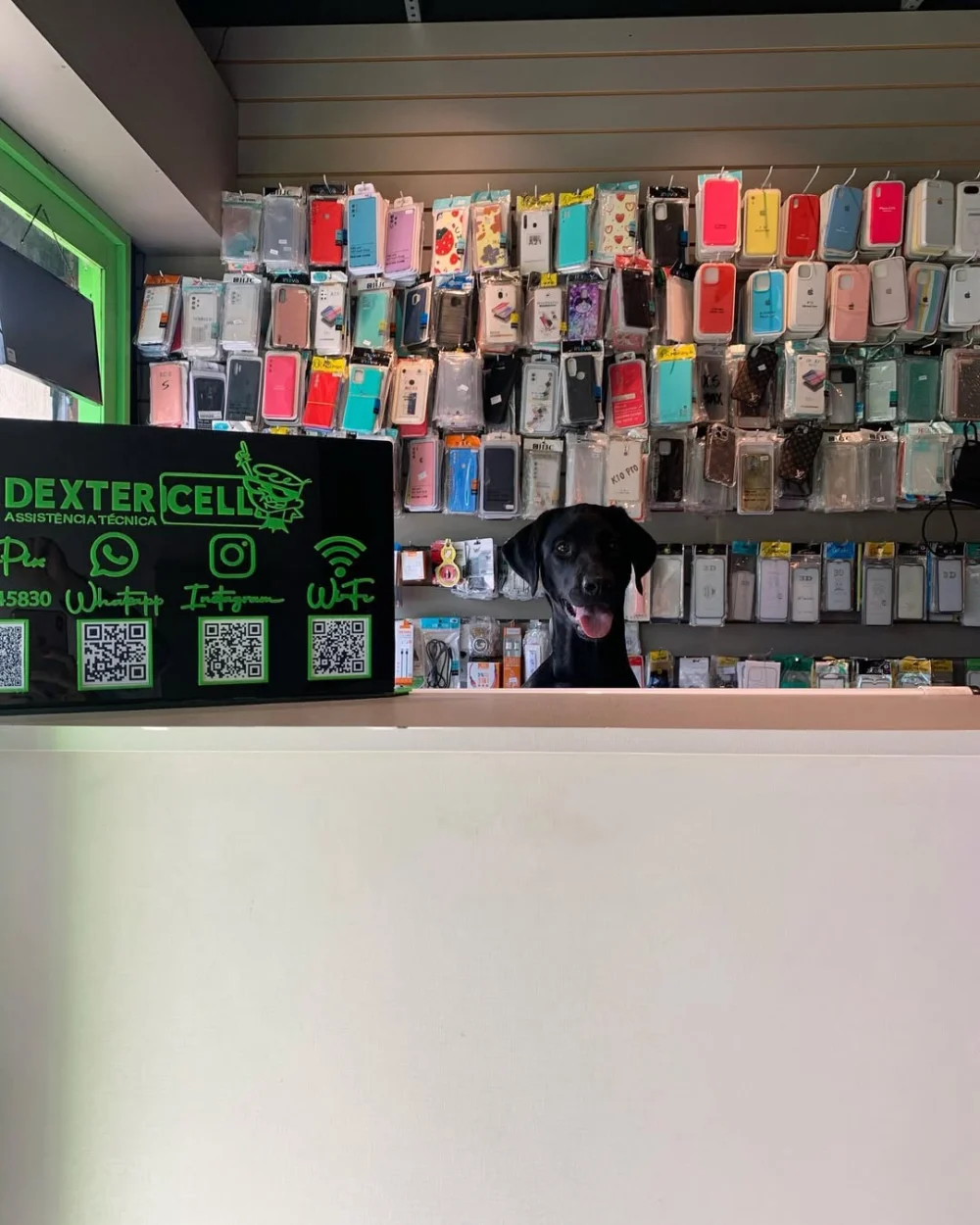 Dexter Cell | Assistência Técnica de Celulares