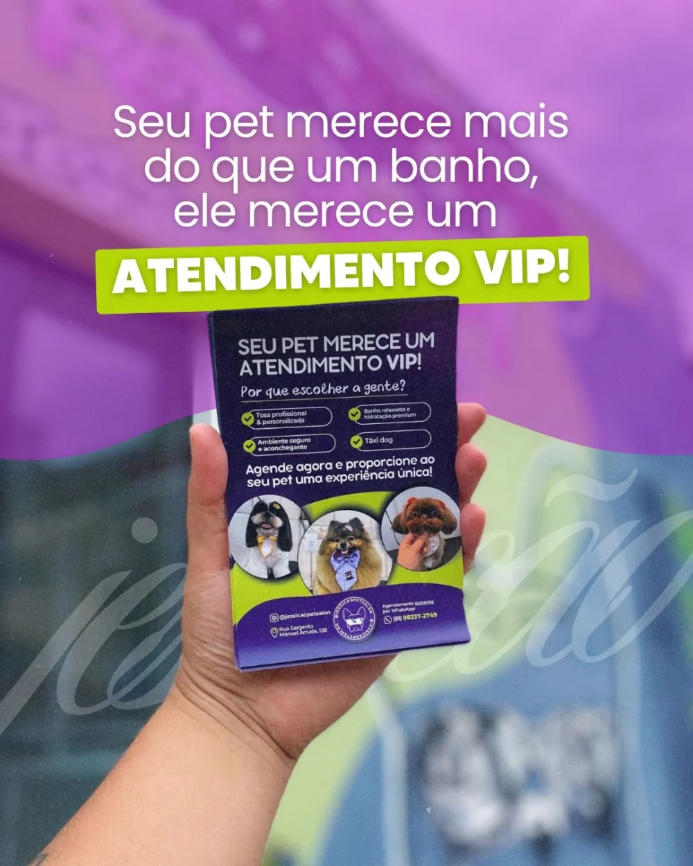 Jessi Cão Pet Salon
