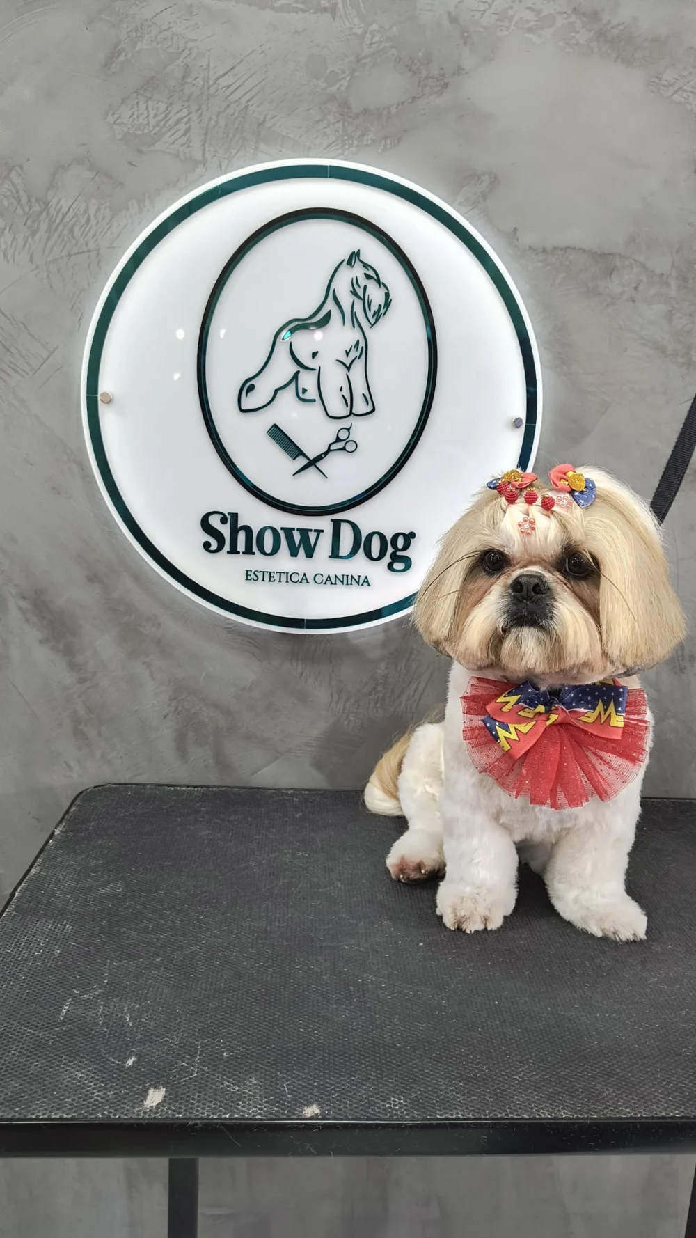 Show Dog Spa e Boutique Pet